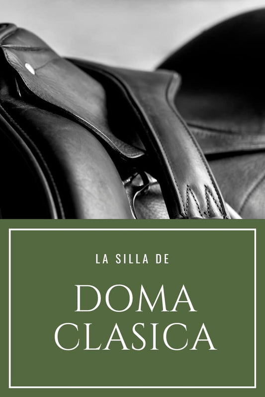 Cómo Seleccionar la Mejor Silla de Montar para Doma Clásica - Tienda Hípica Online | D’Hispania ®