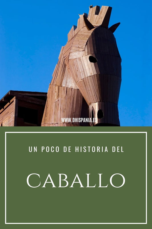 El Caballo - Tienda Hípica Online | D’Hispania ®