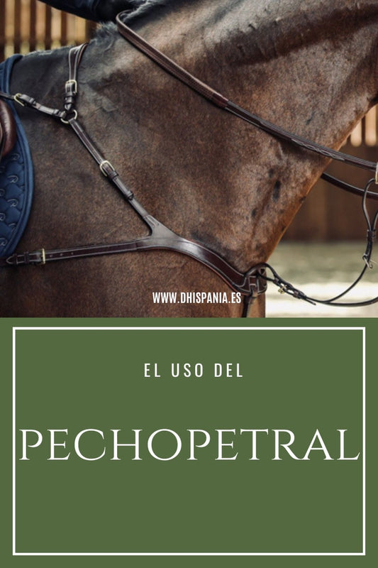 ¿Para que sirve el Pechopetral? - Tienda Hípica Online | D’Hispania ®