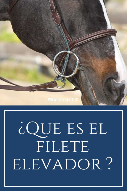 ¿Que es el Filete Elevador? - Tienda Hípica Online | D’Hispania ®