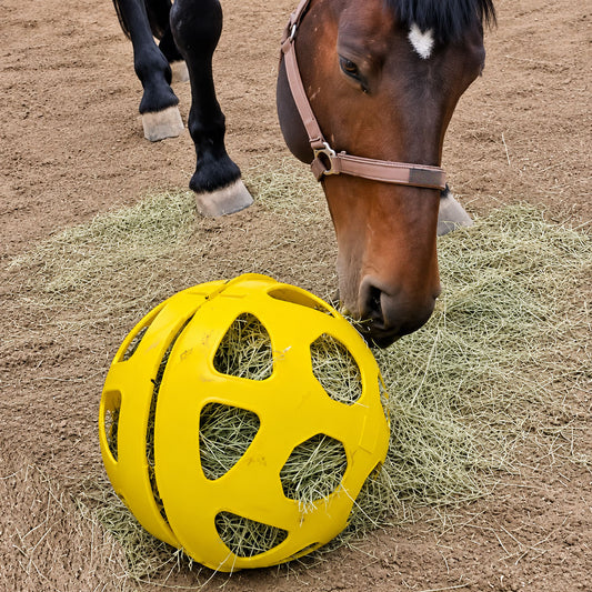 Balón comedero de heno para caballos Slow Feeder 40 cm · 248448