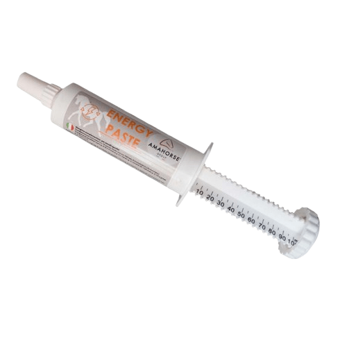 AMAHORSE ENERGÍA DE COMPETICIÓN ENERGY PASTE 120gr - Tienda Hípica Online | D’Hispania ®
