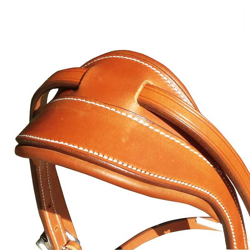 CABEZADA CAROLINA CON MONTANTE - Tienda Hípica Online | D’Hispania ®