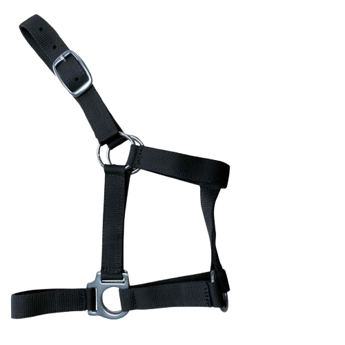 CABEZADA CUADRA NYLON 0278 - Resistente y Ajustable - Tienda Hípica Online | D’Hispania ®