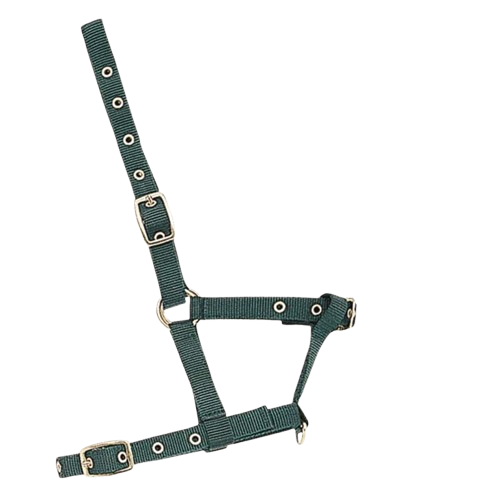 CABEZADA CUADRA NYLON 4018 POTRO - Tienda Hípica Online | D’Hispania ®