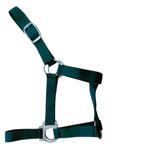 CABEZADA CUADRA NYLON RECIEN NACIDO 0278 - Tienda Hípica Online | D’Hispania ®