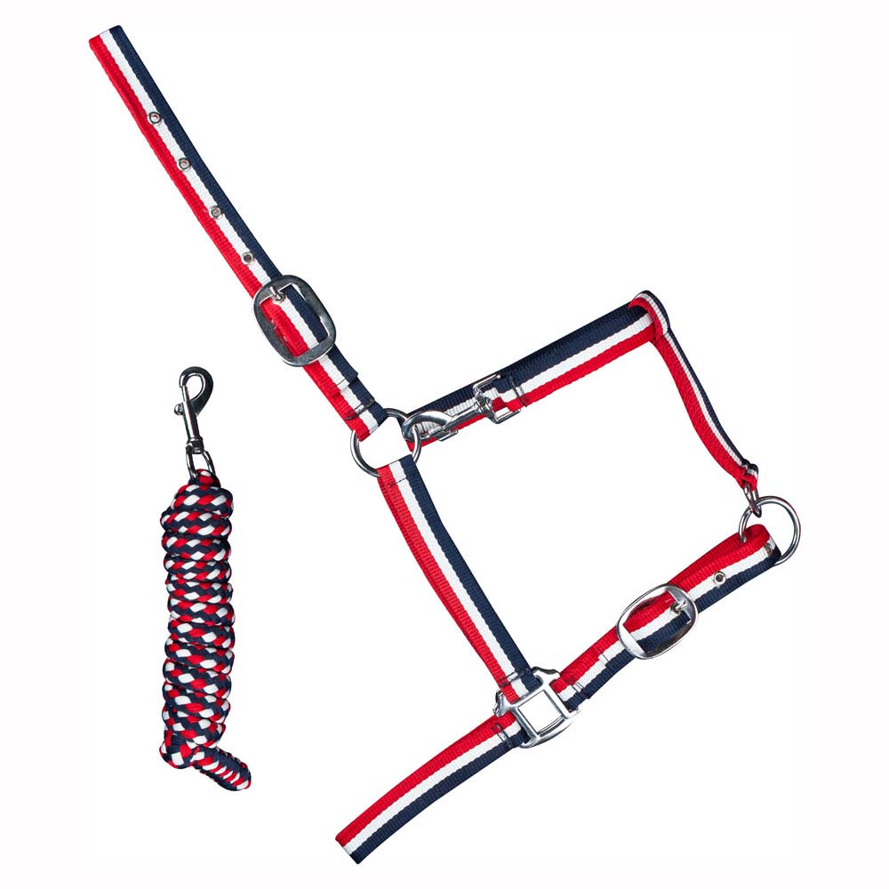 CABEZADA CUADRA + RAMAL 6886 - Tienda Hípica Online | D’Hispania ®