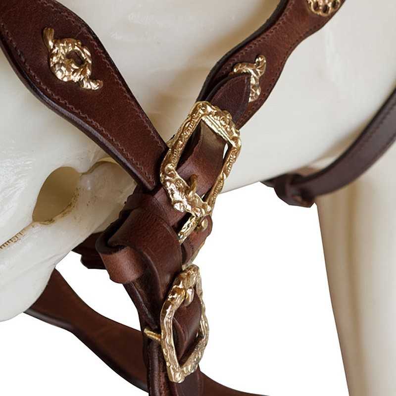 CABEZADA ECONOMICA CORTESIA UNA RIENDA - Tienda Hípica Online | D’Hispania ®