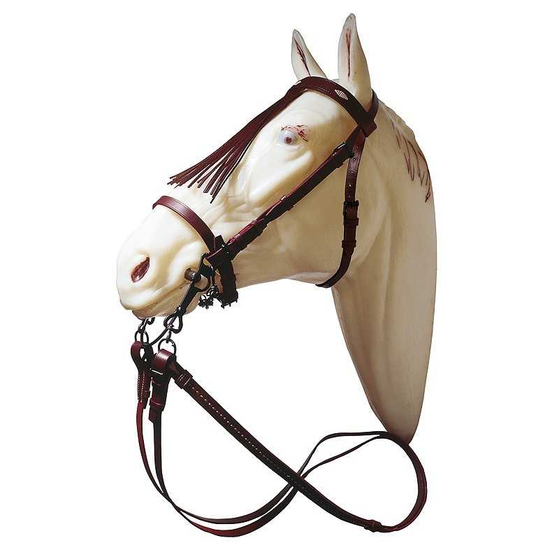 CABEZADA JEREZANA ECONÓMICA CON RIENDAS FULL - Tienda Hípica Online | D’Hispania ®
