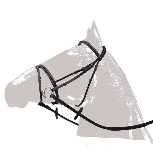 CABEZADA MONTAR COMBINADA SS - Tienda Hípica Online | D’Hispania ®