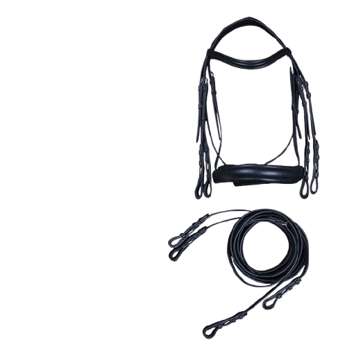 CABEZADA MONTAR DOMA DOBLE RIENDA SS - Tienda Hípica Online | D’Hispania ®