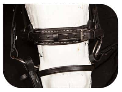 CABEZADA MONTAR INGLESA FI-2161 - Tienda Hípica Online | D’Hispania ®