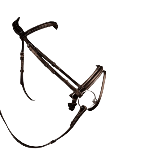 CABEZADA MONTAR INGLESA FI-2161 - Tienda Hípica Online | D’Hispania ®