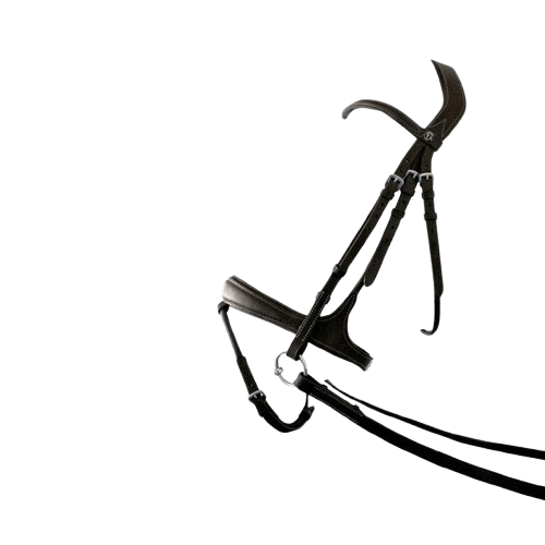 CABEZADA MONTAR INGLESA RIENDA CUERO - Tienda Hípica Online | D’Hispania ®