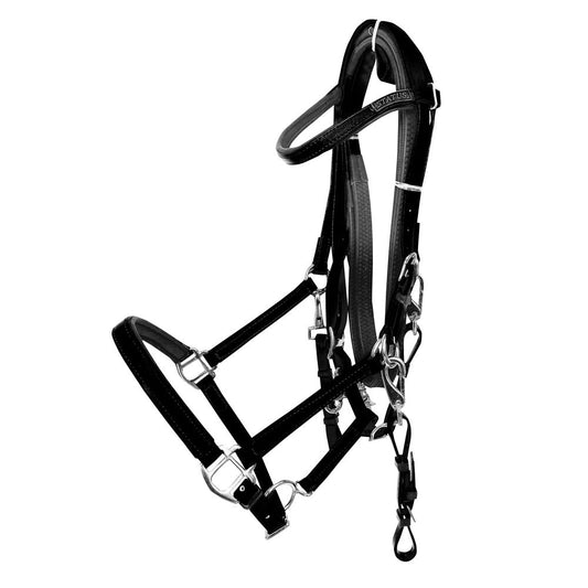 CABEZADA MONTAR RAID ENDURANCE AZBT 790 - Tienda Hípica Online | D’Hispania ®