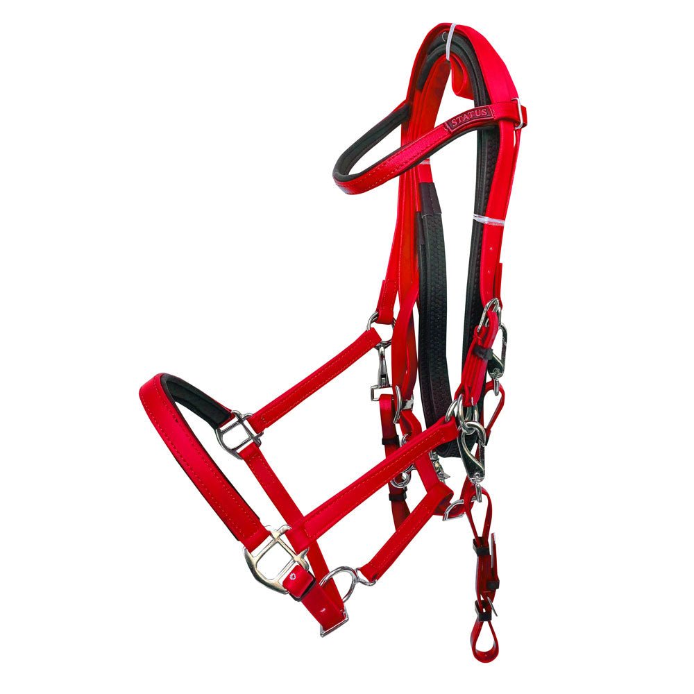 CABEZADA MONTAR RAID ENDURANCE AZBT 790 - Tienda Hípica Online | D’Hispania ®