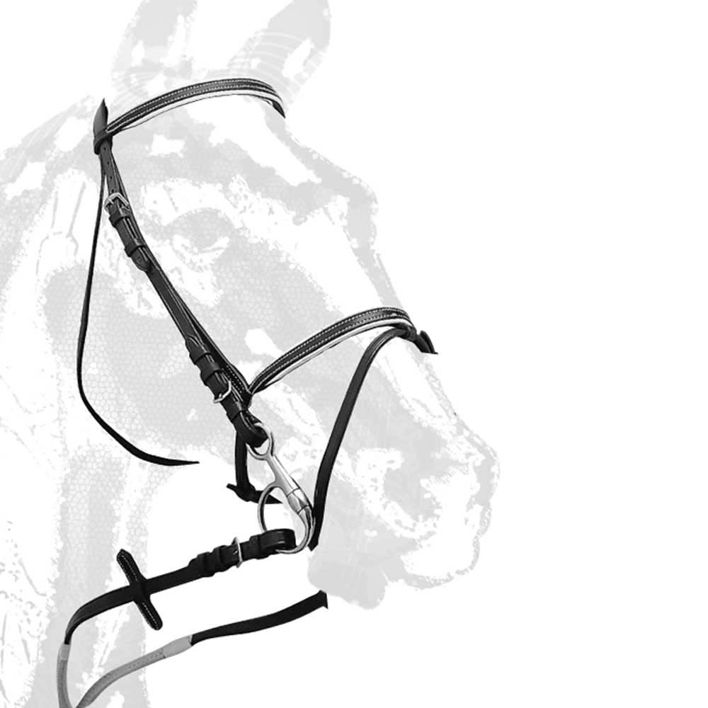 CABEZADA MONTAR RIENDA GOMA 1532 - Tienda Hípica Online | D’Hispania ®