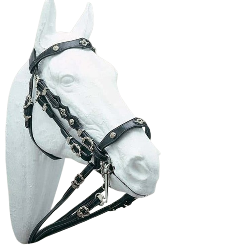 CABEZADA PORTUGUESA DOBLE RIENDA CASTECUS - Tienda Hípica Online | D’Hispania ®