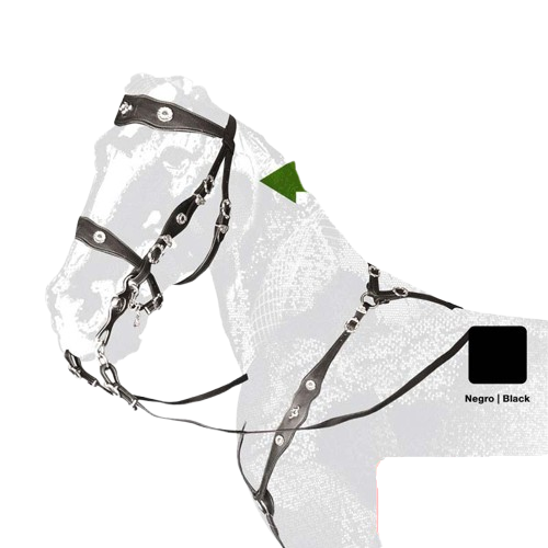 CABEZADA PORTUGUESA ESCOLA NEGRO - Tienda Hípica Online | D’Hispania ®