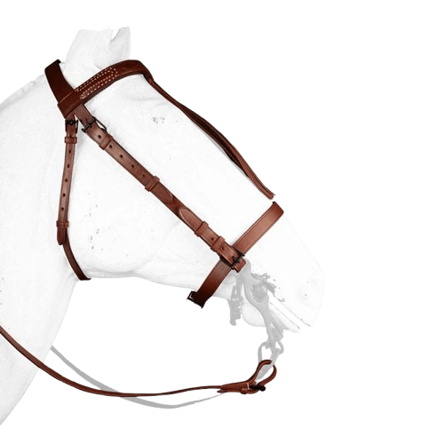 CABEZADA VAQUERA CON AHOGADERO 2128 - Tienda Hípica Online | D’Hispania ®