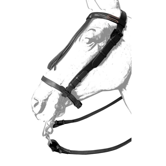 CABEZADA VAQUERA CUERO ANCHA RONDA - Tienda Hípica Online | D’Hispania ®