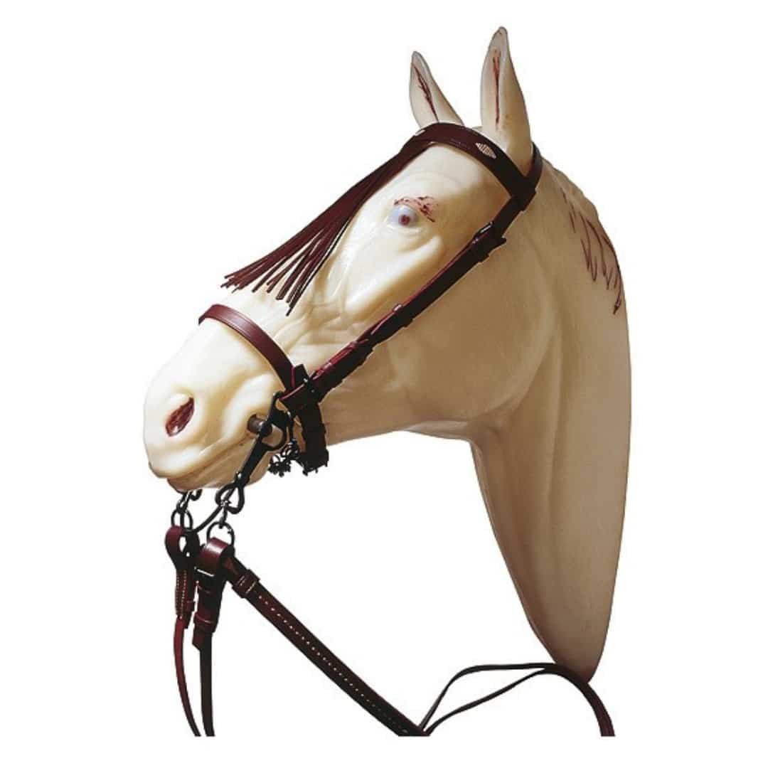 CABEZADA VAQUERO IMP. RIENDA - Tienda Hípica Online | D’Hispania ®