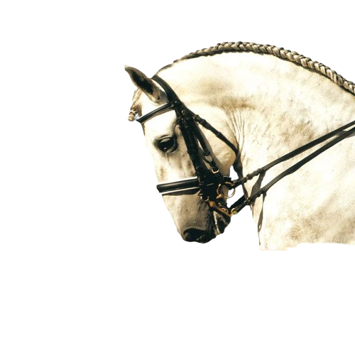 CABEZADA ZALDI EXTRA SANJORGE DOBLE RIENDA - Tienda Hípica Online | D’Hispania ®