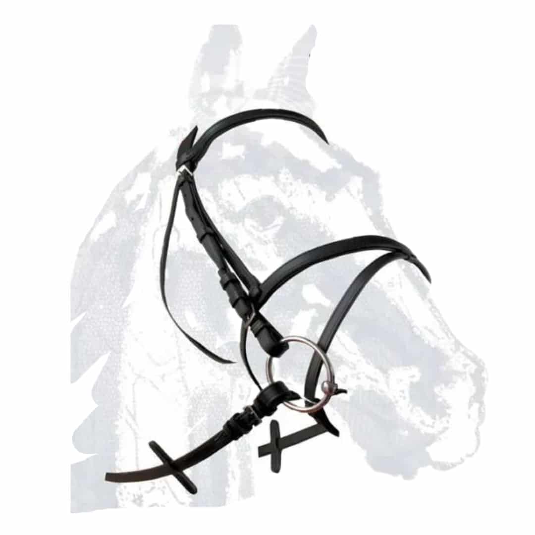 CABEZADA ZALDI EXTRA SPORT SENCILLA - Tienda Hípica Online | D’Hispania ®