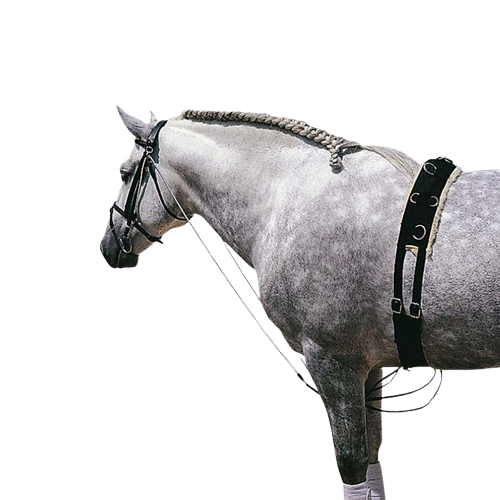 CHAMBÓN CUERO CASTECUS 822 - Tienda Hípica Online | D’Hispania ®