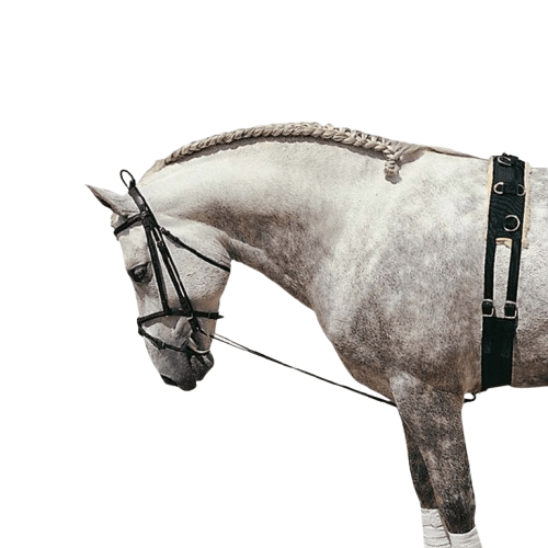 CHAMBÓN ELÁSTICO GOMA 4010-K - Tienda Hípica Online | D’Hispania ®