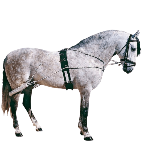 CHAMBÓN ESPECIAL CON BORREGUILLO MIS-17 - Tienda Hípica Online | D’Hispania ®