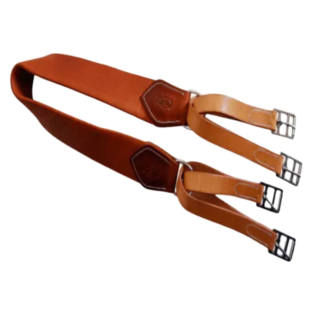 CINCHA LUCAS PORTUGUESA - Tienda Hípica Online | D’Hispania ®