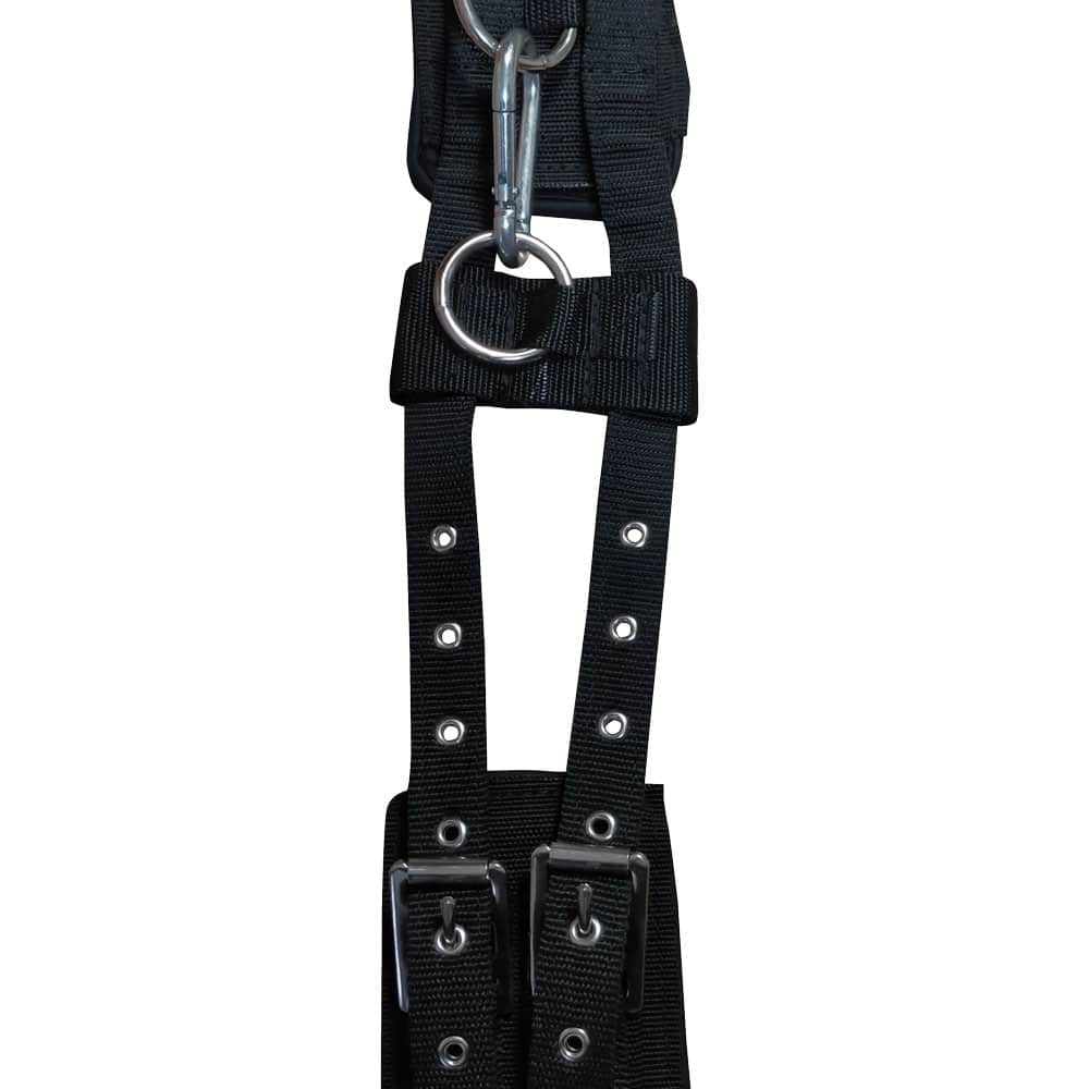 CINCHUELO DOMA ENTRENAMIENTO NEOPRENO 8310 - Tienda Hípica Online | D’Hispania ®