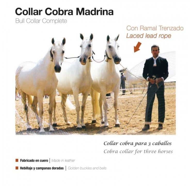 COLLAR COBRA MADRINA CON RAMAL TRENZADO - Tienda Hípica Online | D’Hispania ®