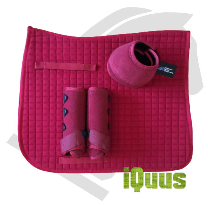 CONJUNTO iquus COOLMAX - Tienda Hípica Online | D’Hispania ®