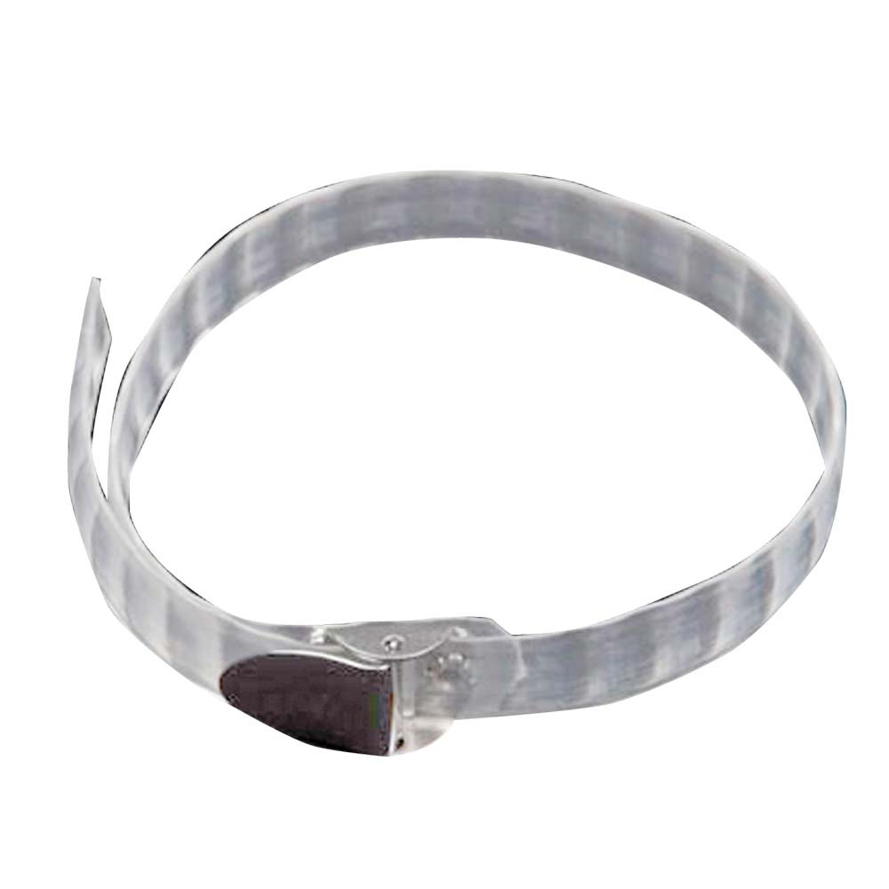 CORREA PARA PROTECTOR HAMPA TRANSPARENTE - Tienda Hípica Online | D’Hispania ®