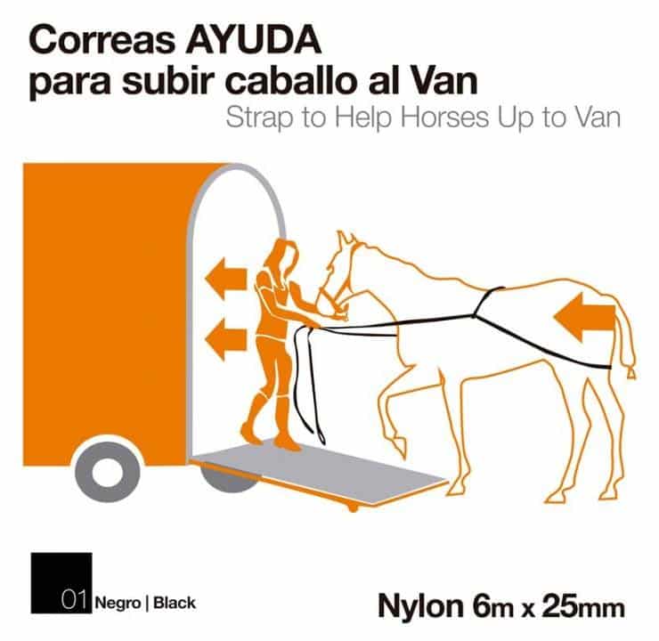 CORREAS AYUDA PARA SUBIR CABALLO AL VAN - Tienda Hípica Online | D’Hispania ®