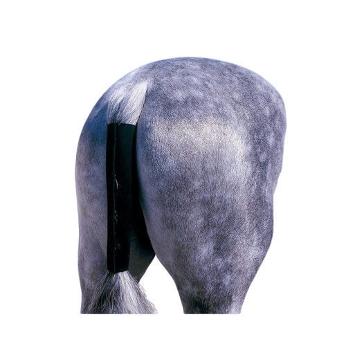 CUBRECOLA NEOPRENO SIN CORREA 6508A NEGRO - Tienda Hípica Online | D’Hispania ®