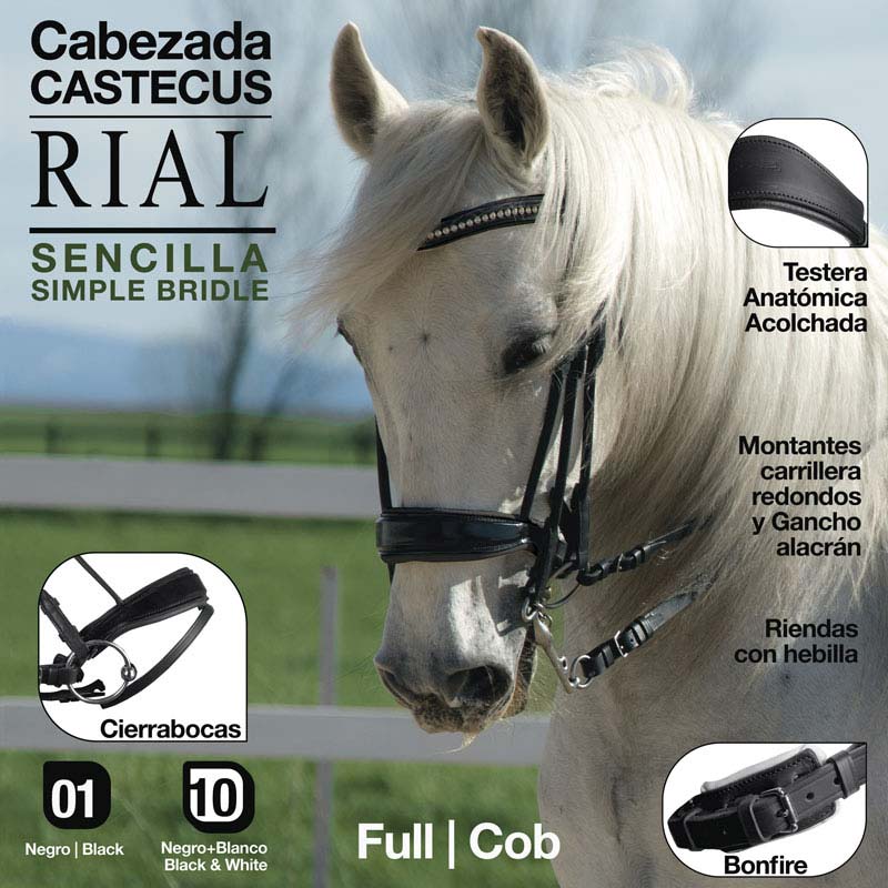Cabezada Castecus Rial Sencilla - Cuero Negro Cristales Blancos Anatómica - Tienda Hípica Online | D’Hispania ®