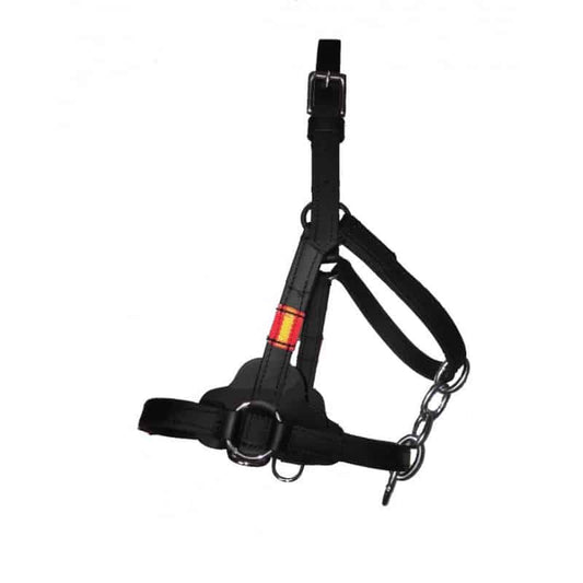 Cabezada Cuadra EXTRA BIOTHANE - Tienda Hípica Online | D’Hispania ®