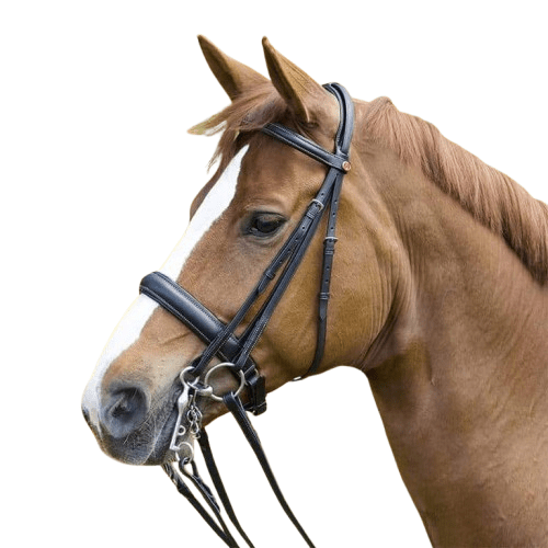 Cabezada Kieffer de doble rienda Ergonomic Line II - Tienda Hípica Online | D’Hispania ®