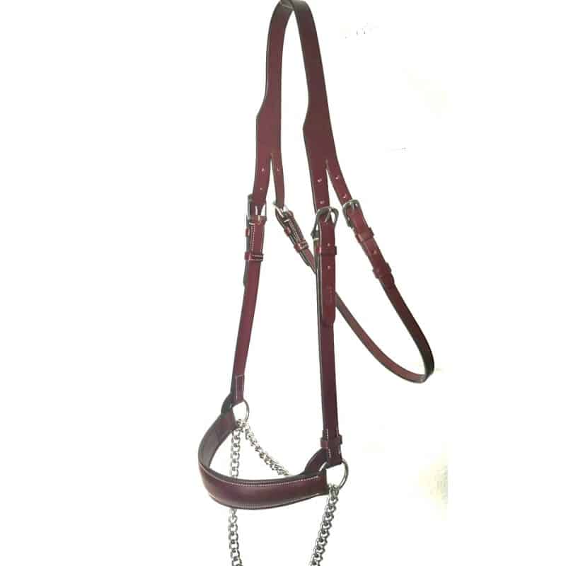 Cabezada presentación iQuus EXTRA con ahogadero - Tienda Hípica Online | D’Hispania ®