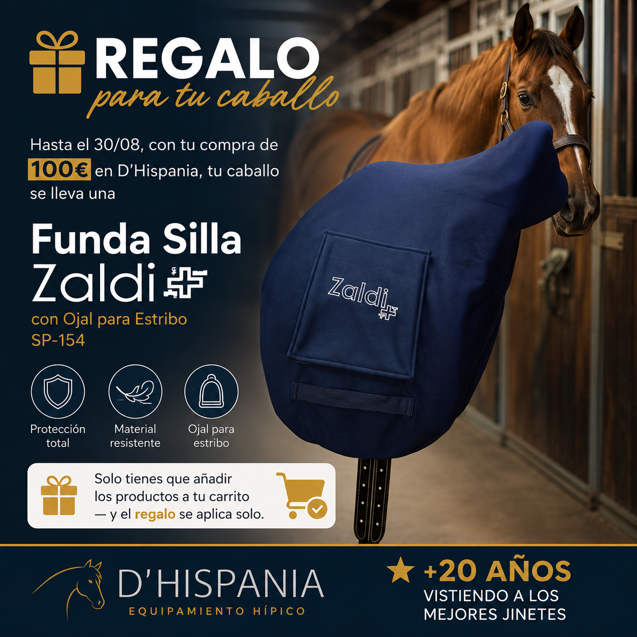 Funda Silla Zaldi SP-154 de Regalo