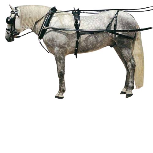 ENGANCHE COLLERA EXTRA INOX SENCILLO NEGRO - Tienda Hípica Online | D’Hispania ®