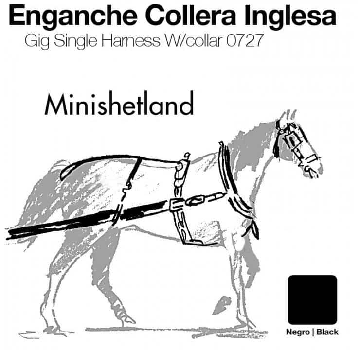 ENGANCHE COLLERA INGLESA CUERO MINISHETLAND NEGRO - Tienda Hípica Online | D’Hispania ®