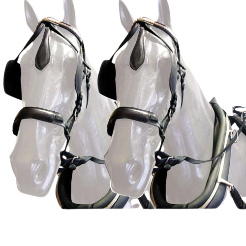 ENGANCHE COLLERA PVC/NYLON DOBLE NEGRO - Tienda Hípica Online | D’Hispania ®