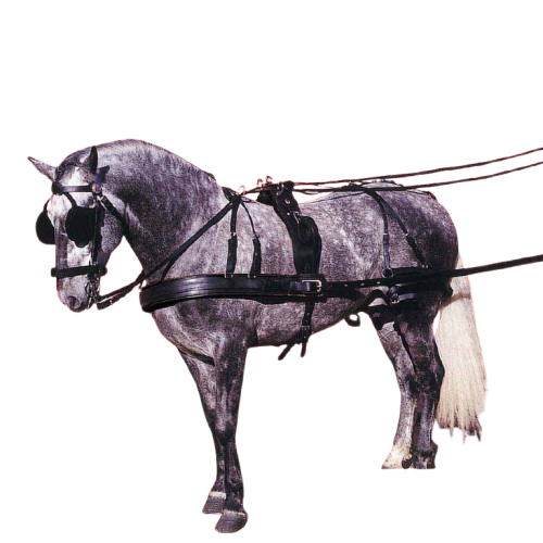 ENGANCHE PECHOPETRAL EXTRA INOX SENCILLO NEGRO - Tienda Hípica Online | D’Hispania ®