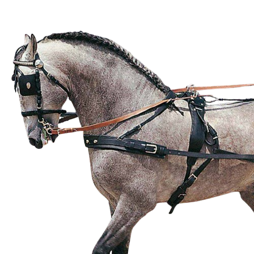 ENGANCHE PECHOPETRAL HÚNGARA. DOBLE NEGRO - Tienda Hípica Online | D’Hispania ®