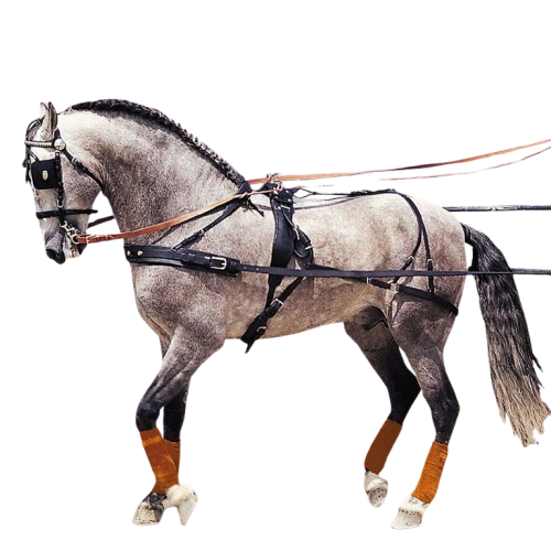 ENGANCHE PECHOPETRAL HÚNGARA SENCILLO ECONÓMICO - Tienda Hípica Online | D’Hispania ®