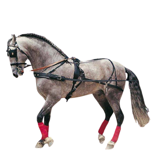 ENGANCHE PECHOPETRAL HÚNGARA SENCILLO NEGRO - Tienda Hípica Online | D’Hispania ®